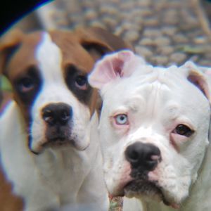 Meet your Posher, Nathan